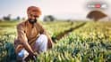 ਦੀਵਾਲੀ ਤੋਂ ਪਹਿਲਾਂ ਮੋਦੀ ਸਰਕਾਰ ਦਾ ਕਿਸਾਨਾਂ ਨੂੰ ਵੱਡਾ ਤੋਹਫ਼ਾ, ਕਣਕ ਸਮੇਤ ਇਨ੍ਹਾਂ 6 ਫਸਲਾਂ 'ਤੇ ਵਧਾਈ MSP, ਜਾਣੋ ਕਿੰਨਾ ਵਧਿਆ ਰੇਟ ?