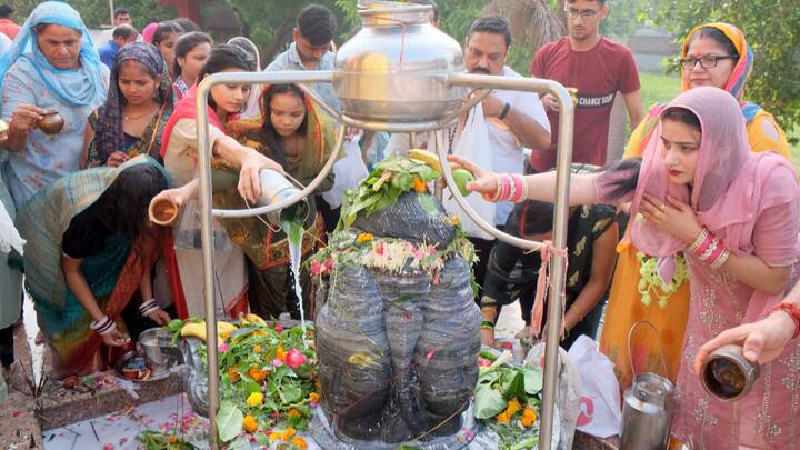 Other common practices of devotees include chanting Shiva mantras, singing devotional songs and performing Rudrabhishek, or the ceremonial bathing of Shiva Lingam. (Source: PTI)