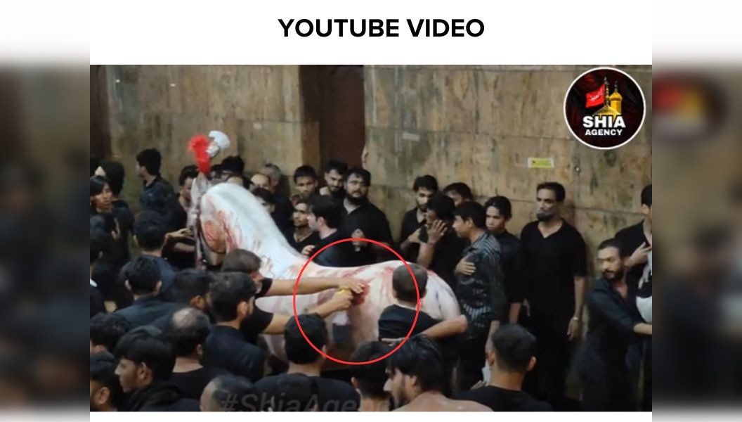 Fact Check: Video Falsely Claims 'Injured' Horse Paraded In Mumbai On Muharram