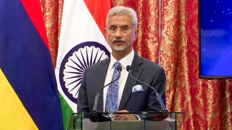 EAM S Jaishankar Egypt India-Africa Forum Summit BRICS Egypt Is India's Valued Strategic Partner, Bilateral Ties Intensified In Recent Years: Jaishankar