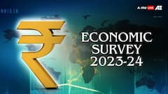 Economic Survey 2024 Highlights: From GDP To Unemployment; How India Performed In FY24