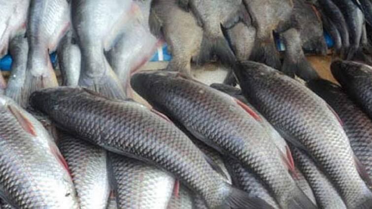 Tanjore fish market due to the drop in prices Crowds of people gathered - TNN ஆஹா விலை குறைச்சிடுச்சு... இதோ வந்துட்டோம்: தஞ்சை மீன் மார்க்கெட்டில் குவிந்த மக்கள் கூட்டம்