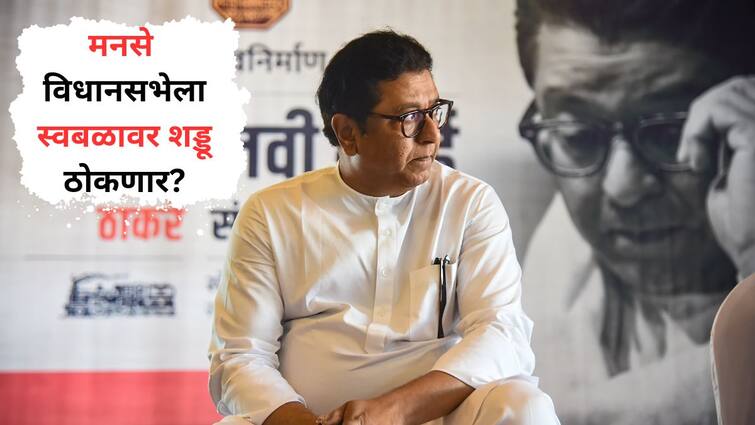 Vidhan Sabha Election 2024 MNS Will  fight on its own  Raj Thackeray himself reviews each constituency Maharashtra Marathi News मनसे विधानसभेला स्वबळावर शड्डू ठोकणार? प्रत्येक जिल्ह्यात निरीक्षकांची नेमणूक, स्वत: राज ठाकरेंकडून आढावा