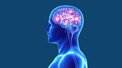 World Brain Day 2024: लहान वयातही ब्रेन स्ट्रोक होऊ शकतो का? जागतिक मेंदू दिनानिमित्त तज्ज्ञांकडून जाणून घ्या..