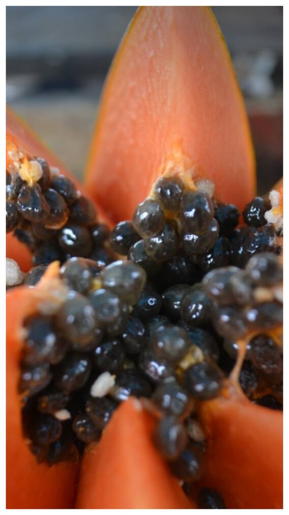 व्रत के हिसाब से अन्न के दायरे में क्या-क्या चीजें आती हैं?