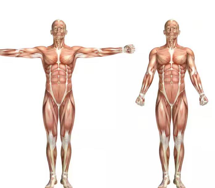 ਦੁਨੀਆ 'ਚ 9 ਅਰਬ ਲੋਕ ਰਹਿੰਦੇ ਹਨ ਪਰ ਹਰ ਵਿਅਕਤੀ ਦੇ ਫਿੰਗਰਪ੍ਰਿੰਟ ਵੱਖ-ਵੱਖ ਹੁੰਦੇ ਹਨ। ਅਜਿਹੀ ਸਥਿਤੀ ਵਿੱਚ, ਕੀ ਤੁਸੀਂ ਜਾਣਦੇ ਹੋ ਕਿ ਸਾਡੇ ਸਰੀਰ ਵਿੱਚ ਇੱਕ ਹੋਰ ਅੰਗ ਹੈ ਜੋ ਇੱਕੋ ਜਿਹਾ ਨਹੀਂ ਹੈ?