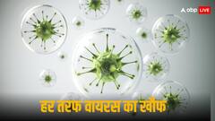 जीका, निपाह या चांदीपुरा...जानें कौन सा वायरस सबसे ज्यादा खतरनाक, क्या हैं लक्षण