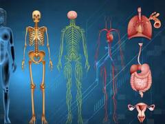 Fingerprints ਹੀ ਨਹੀਂ, ਇਨਸਾਨਾਂ ਦਾ ਇਹ ਹਿੱਸਾ ਵੀ ਕਦੇ ਇੱਕੋ ਜਿਹਾ ਨਹੀਂ ਹੁੰਦਾ, ਜਾਣੋ ਕੀ ਹੈ ?