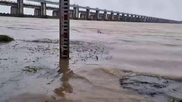 Rains: తెలుగు రాష్ట్రాల్లో భారీ వర్షాలు - గోదారమ్మ ఉగ్ర రూపం, ప్రమాద హెచ్చరికలు జారీ