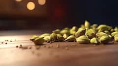 Health Tips: इलायची के दाने में होती है गजब की  ताकत, इन बीमारियों का बनता है काल