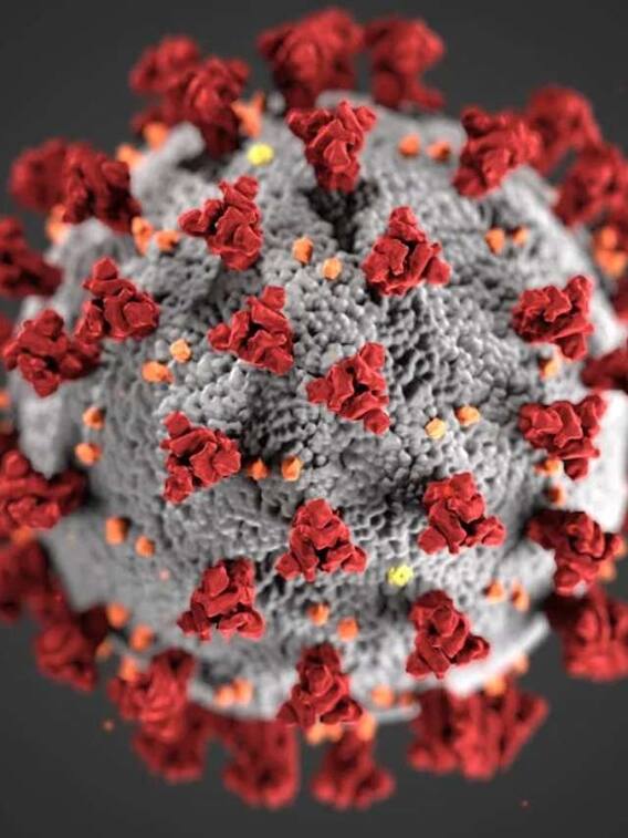 किस देश में तबाही मचा रहा है कोरोना?