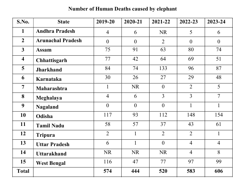 Amid Spike In Human Deaths Caused By Elephants And Tigers, Centre Increased Compensation For Victims, Says Govt