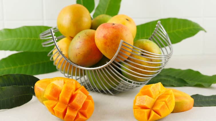 National Mango Day Why Odisha Tribes Name Their Villages After Mangoes National Mango Day: Know Why Odisha Tribes Name Their Villages After Mangoes