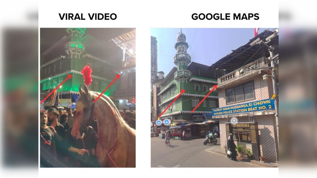 Fact Check: Video Falsely Claims 'Injured' Horse Paraded In Mumbai On Muharram