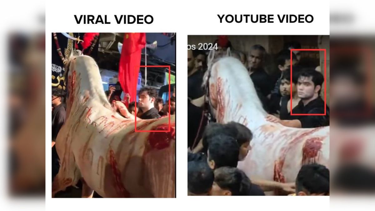 Fact Check: Video Falsely Claims 'Injured' Horse Paraded In Mumbai On Muharram