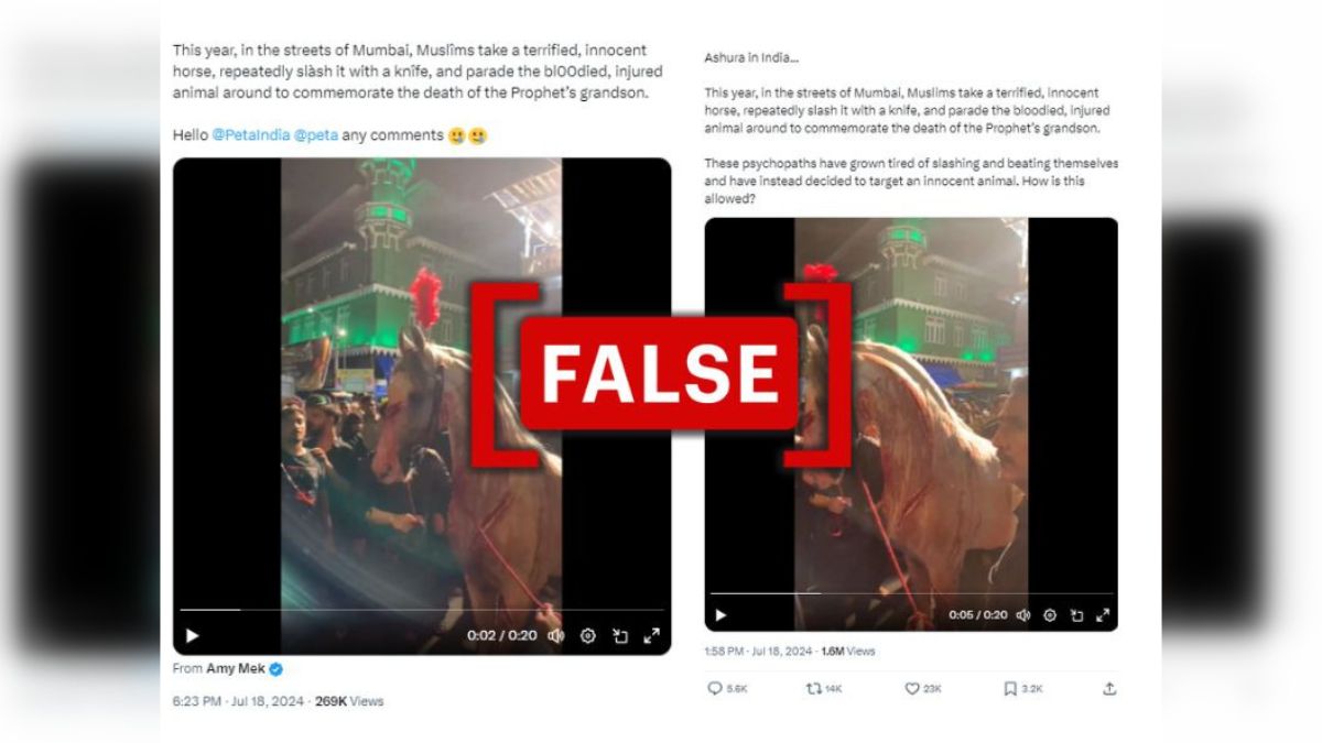 Fact Check: Video Falsely Claims 'Injured' Horse Paraded In Mumbai On Muharram