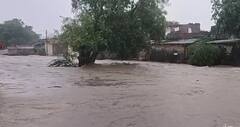 Gujarat Rain: ઉપલેટાના તલંગણામાં 15 ઈંચ વરસાદથી ગામ બેટમાં ફેરવાયું, તસવીરો જોઈ હચમચી જશો