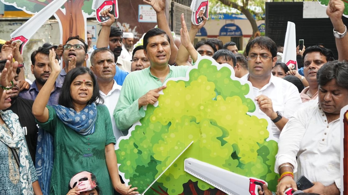 AAP Protest: दिल्ली में सैकड़ों पेड़ काटने पर AAP का LG के खिलाफ प्रदर्शन, लगाए ये आरोप 