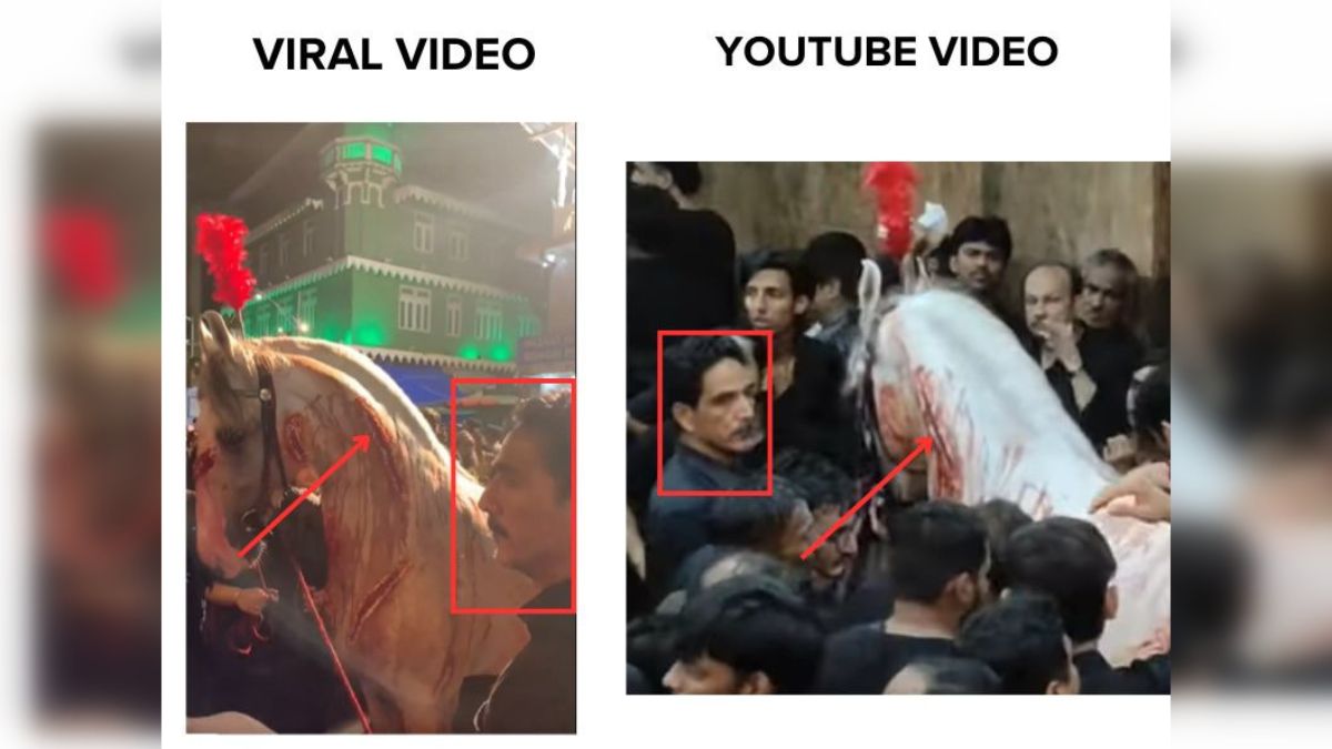 Fact Check: Video Falsely Claims 'Injured' Horse Paraded In Mumbai On Muharram