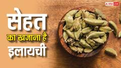 Health Tips: इलायची के दाने में होती है गजब की  ताकत, इन बीमारियों का बनता है काल