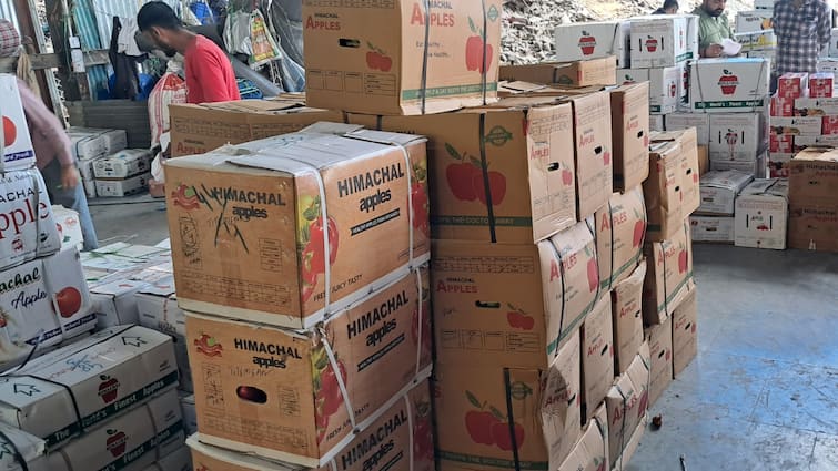 Himachal Government Order Sell apples in Universal Carton Apple Farmers Reaction Jagat Singh Negi ANN Himachal: सेब बागवानों को नहीं भा रहा यूनिवर्सल कार्टन! क्वालिटी ठीक न होने से परेशान