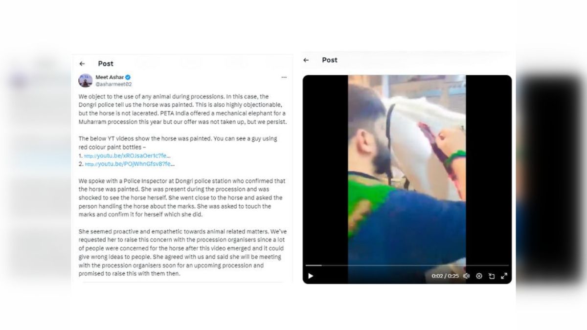 Fact Check: Video Falsely Claims 'Injured' Horse Paraded In Mumbai On Muharram