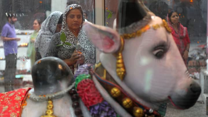 The month of Sawan falls between July and August, and marks a period of worship, fasting and pilgrimage dedicated to Lord Shiva. (Source: PTI)