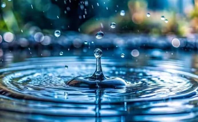 તમે ઘણી જગ્યાએ આરઓમાંથી નીકળતા ગંદા પાણીનો ઉપયોગ કરી શકો છો.