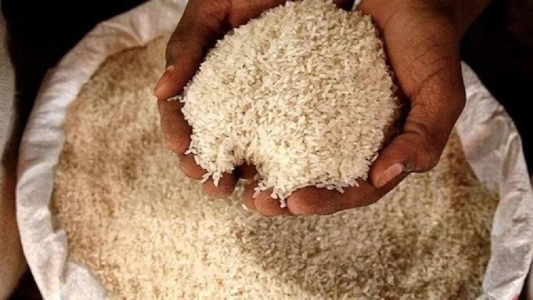 Government may ease curbs on rice export from india as buffer stock rises to this level Rice Export: साढ़े तीन गुना हुआ सुरक्षित भंडार, अब चावल पर निर्यात में ढील दे सकती है सरकार