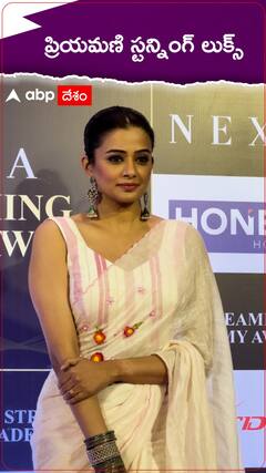 ప్రియమణి స్టన్నింగ్ లుక్స్