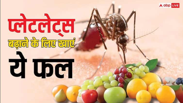 Platelets will increase rapidly in dengue, definitely consume these fruits and then see the effect.