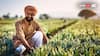 Career In Agriculture: ખેતી ક્ષેત્રમાં કરિયર બનાવવું હોય તો આ રિતે ખૂલસે રસ્તો, આ ડિગ્રી લઈ શકો છો, આટલી કમાણી થશે