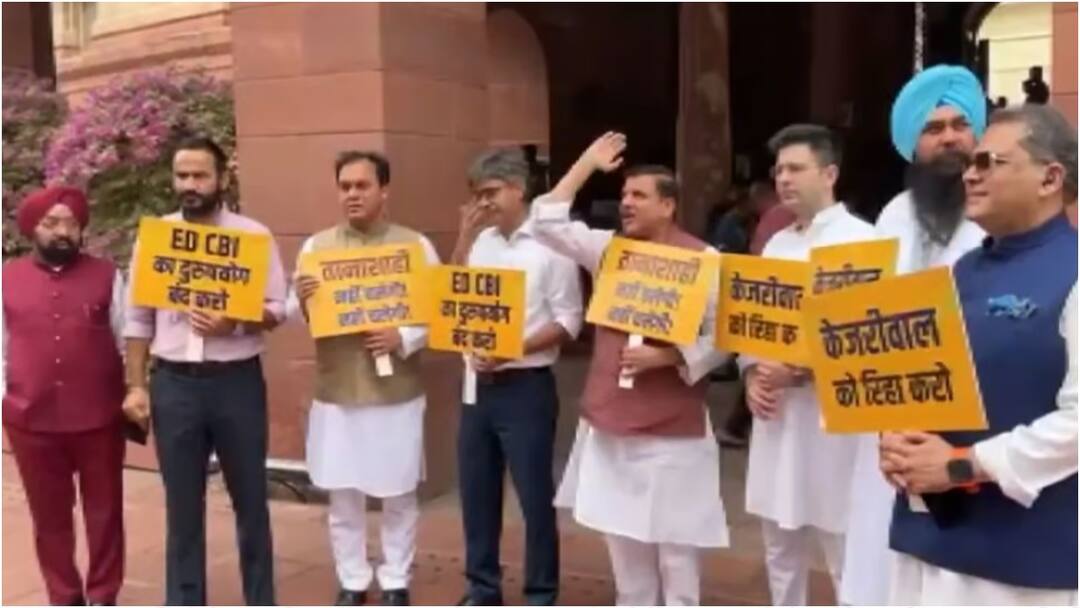 'Kejriwal's Sugar Level Dropped 36 Times': AAP MPs Protest At Parliament Over 'Misuse' Of Central Agencies 'Kejriwal's Blood Sugar Level Dropped 36 Times': AAP MPs Protest At Parliament Over 'Misuse' Of Agencies