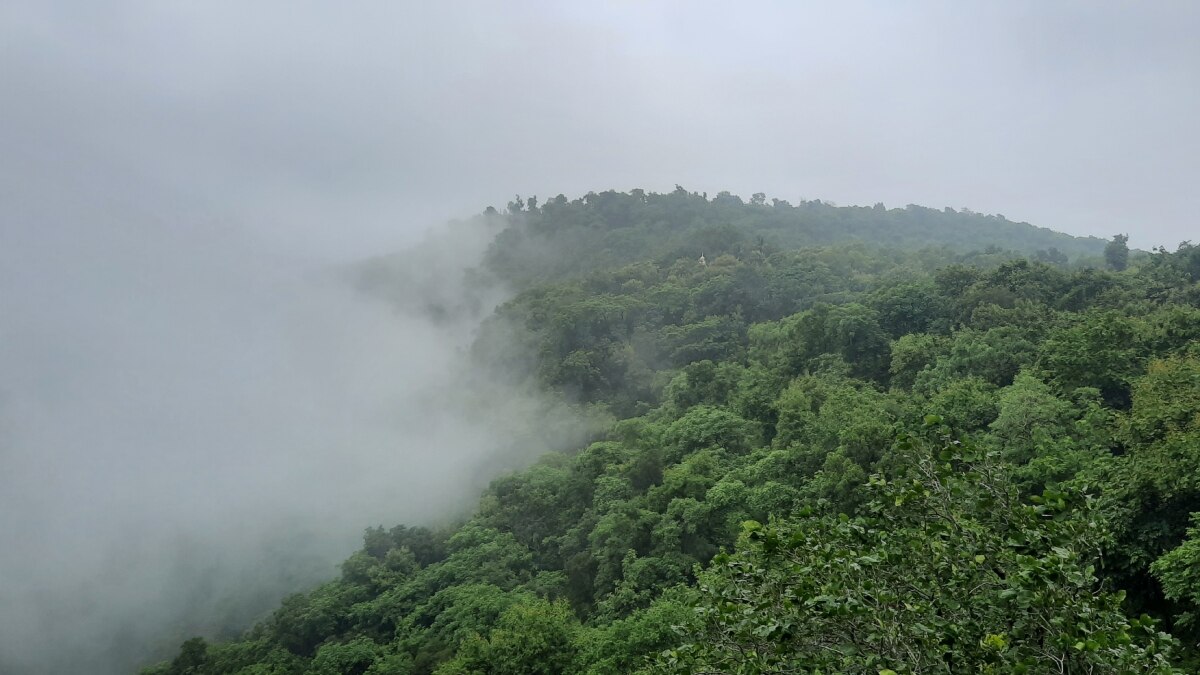 मानसून में इन पिकनिक स्पॉट का नहीं उठा सकेंगे लुत्फ, इंदौर कलेक्टर ने एंट्री किया बैन, जानें वजह