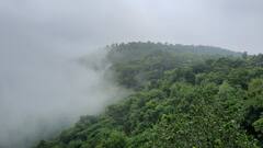 एमपी: मानसून में इन पिकनिक स्पॉट का नहीं उठा सकेंगे लुत्फ, इंदौर कलेक्टर ने एंट्री किया बैन, जानें वजह