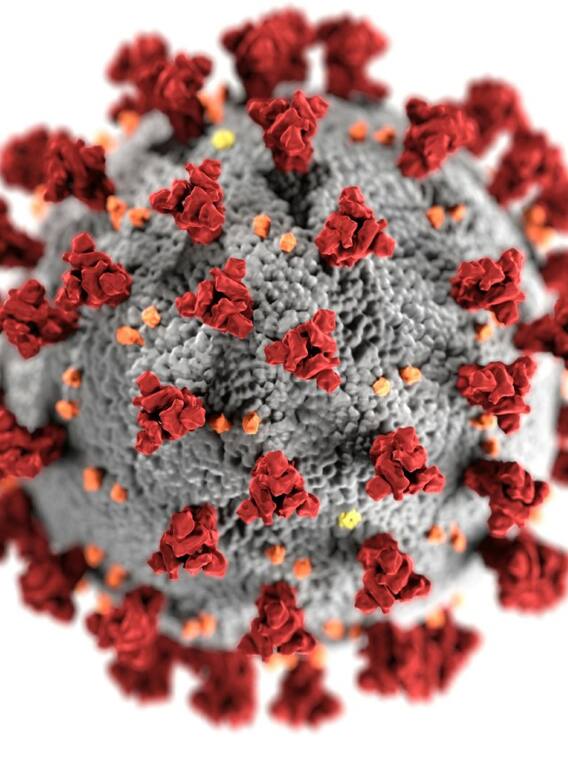 चांदीपुरा वायरस का क्या है इलाज