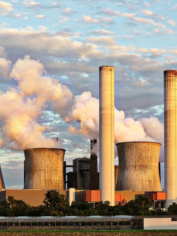 एयर पॉल्यूशन से हर साल कितनी मौतें होती हैं