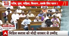 Union Budget 2024: Details On PM Surya Ghar Free Electricity Scheme Discussed By FM | ABP News