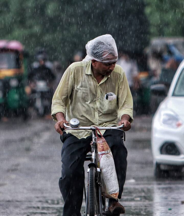 कटिहार, पूर्वी चंपारण, पश्चिमी चंपारण, जमुई, दरभंगा, मुंगेर, बांका, मुजफ्फरपुर, गया, नालंदा, सीवान, सारण, शेखपुरा, अरवल और जहानाबाद में भी रविवार और सोमवार के बीच बहुत हल्की वर्षा हुई है.