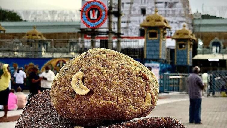 TTD EO Shyamala rao ias warns vendors who supplies adultery ghee for making Tirumala Laddus Tirumala Laddu: తిరుమల లడ్డూలకు నాసిరకం నెయ్యి సప్లై, వారిపై చర్యలు, ఇకపై మంచి రుచి -ఈవో