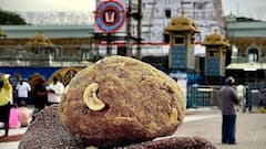 తిరుమల లడ్డూలకు నాసిరకం నెయ్యి సప్లై, వారిపై చర్యలు, ఇకపై మంచి రుచి -ఈవో