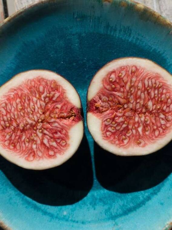 अंजीर खाने के क्या हैं फायदे?