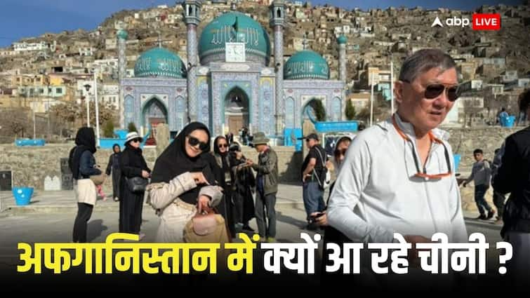 Chinese coming to Afghanistan in large numbers Pakistani expert Qamar Cheema points towards intelligence agent Afghanistan Tourism: अफगानिस्तान में भारी संख्या में आ रहे चीनी, पाकिस्तानी एक्सपर्ट ने खुफिया एजेंट की तरफ किया इशारा