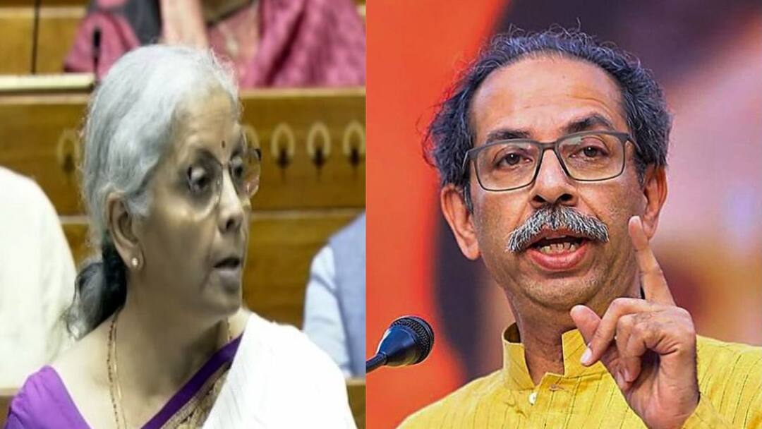 Shiv Sena Thackeray Group MP Rajabhau Waje Slams Modi Government Over Union Budget 2024 Marathi News Union Budget 2024 : अर्थसंकल्पात महाराष्ट्राला काहीच मिळालं नाही, विधानसभा निवडणुकीत फटका बसणार; ठाकरे गटाच्या नेत्याचा इशारा