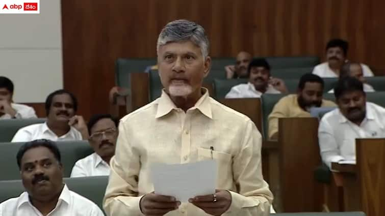 ap cm chandrababu sensational comments on viveka murder case in ap assembly AP Assembly Sessions: 'హూ కిల్డ్ బాబాయ్?  త్వరలోనే జవాబు' - ఏపీ అసెంబ్లీలో సీఎం చంద్రబాబు సంచలన ప్రకటన