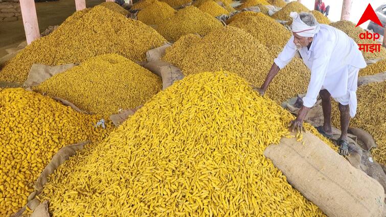 Hingoli News Turmeric Market Hingoli Market committee Mondha closed for 9 days हिंगाेलीतील कृषी उत्पन्न बाजारसमितीतील मोंढा राहणार 9 दिवस बंद, हळदीची आवक वाढली