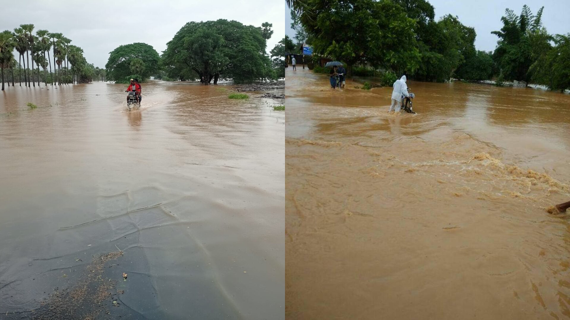 गोदावरी नदी का जल स्तर बढ़ा, छत्तीसगढ़-तेलंगाना हाईवे बंद, NH पर वाहनों की लगी लंबी कतार