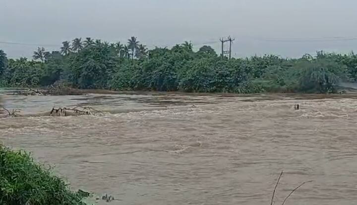 સૌથી વધુ પોરબંદર જિલ્લામાં 93 રસ્તાઓ વાહન વ્યવહાર માટે બંધ છે, જ્યારે જૂનાગઢ જિલ્લામાં 76 રસ્તાઓ વાહન વ્યવહાર માટે બંધ છે.