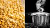 Dal Cooking : இது தெரிந்தால் பருப்பை இனி குக்கரில் வேகவைக்க மாட்டீங்க!