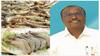 Budget 2024:  இறால் ஏற்றுமதி வரிச்சலுகை...! யாருக்கு லாபம்??? மீனவ பிரதிநிதி கருத்து..!